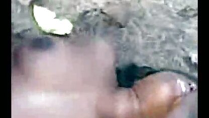 सार्वजनिक परिवहन % 26 स्थान: गणना एच. डी. ब्लू फिल्म सेक्सी फुल एचडी